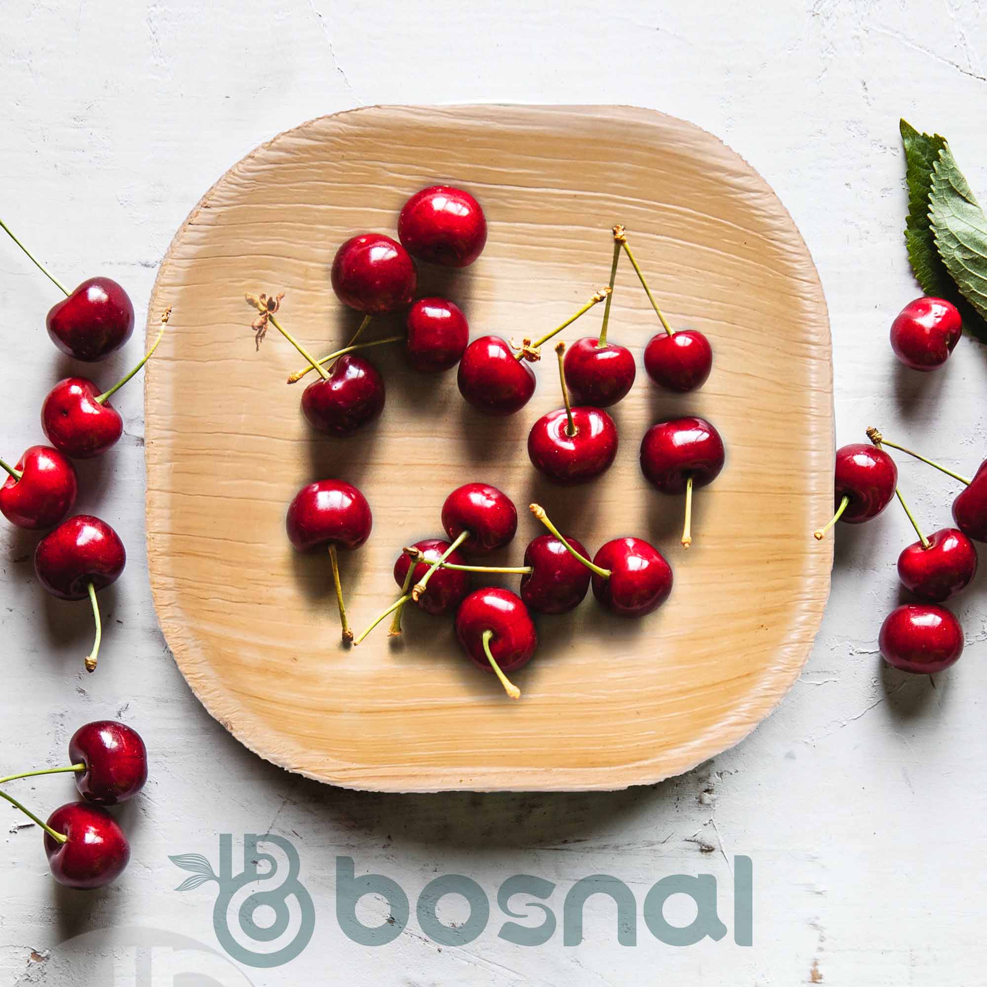 Bosnal - Palm Leaf Biodegradable Plates, 4 inch, Square - Hallam Custom Woodworking - Bosnal