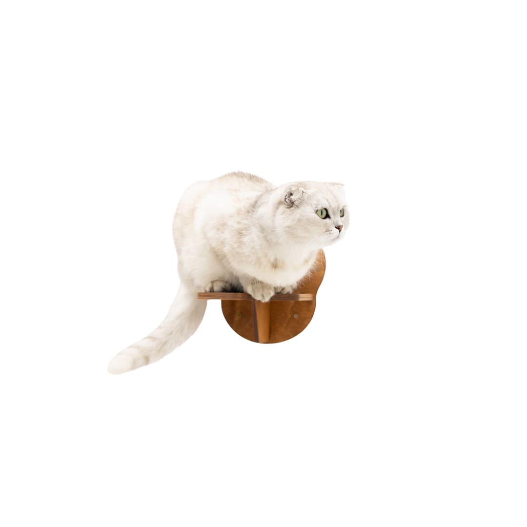 Wooden Cat Step - Oak