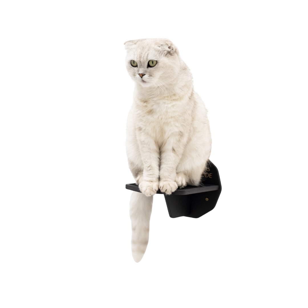 Wooden Hexagon Step - Black - Hallam Custom Woodworking - Enjoy The Wood