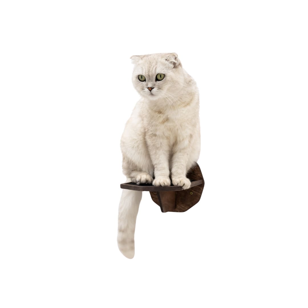 Wooden Hexagon Step - Dark Walnut - Hallam Custom Woodworking - Enjoy The Wood