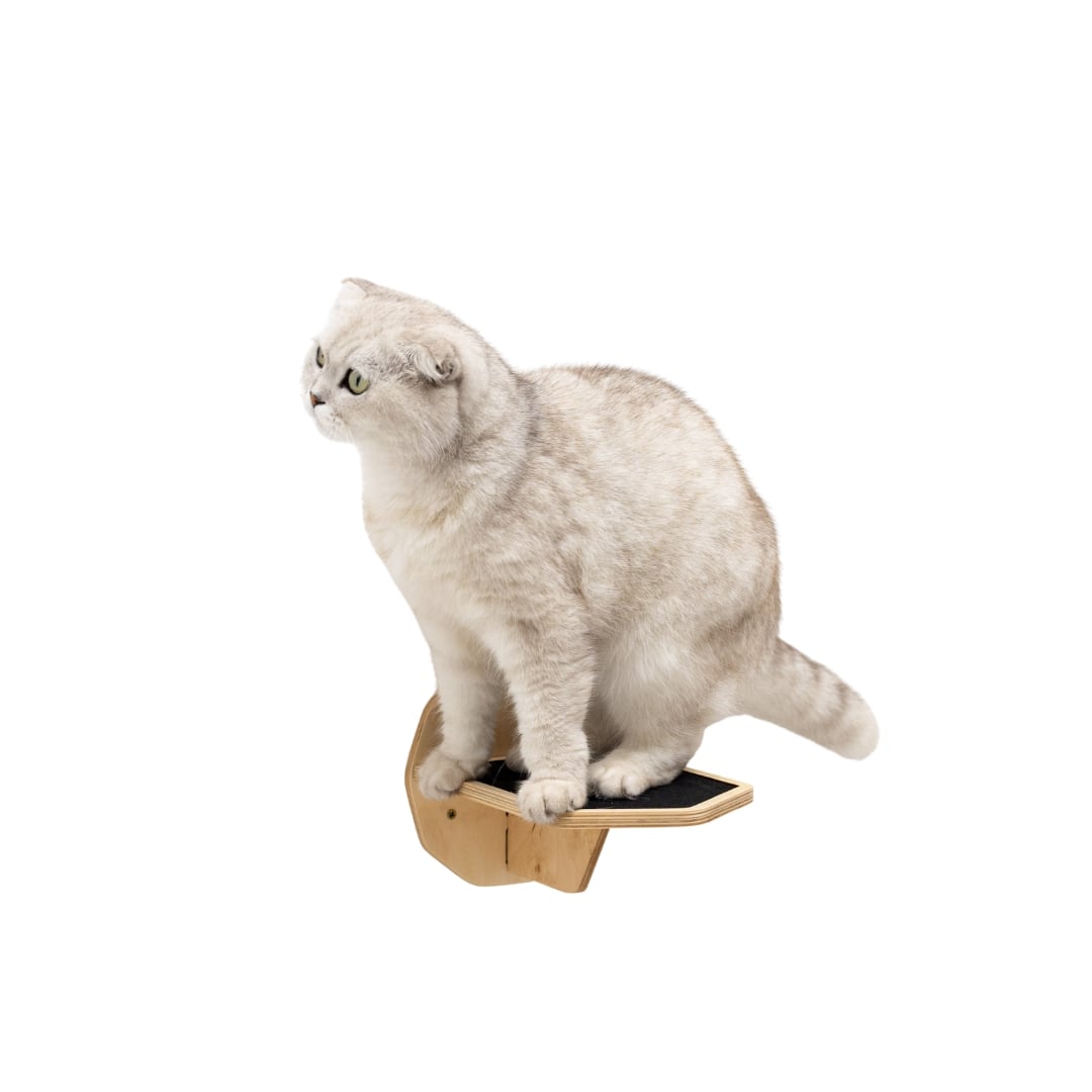 Wooden Hexagon Step - Light - Hallam Custom Woodworking - Enjoy The Wood